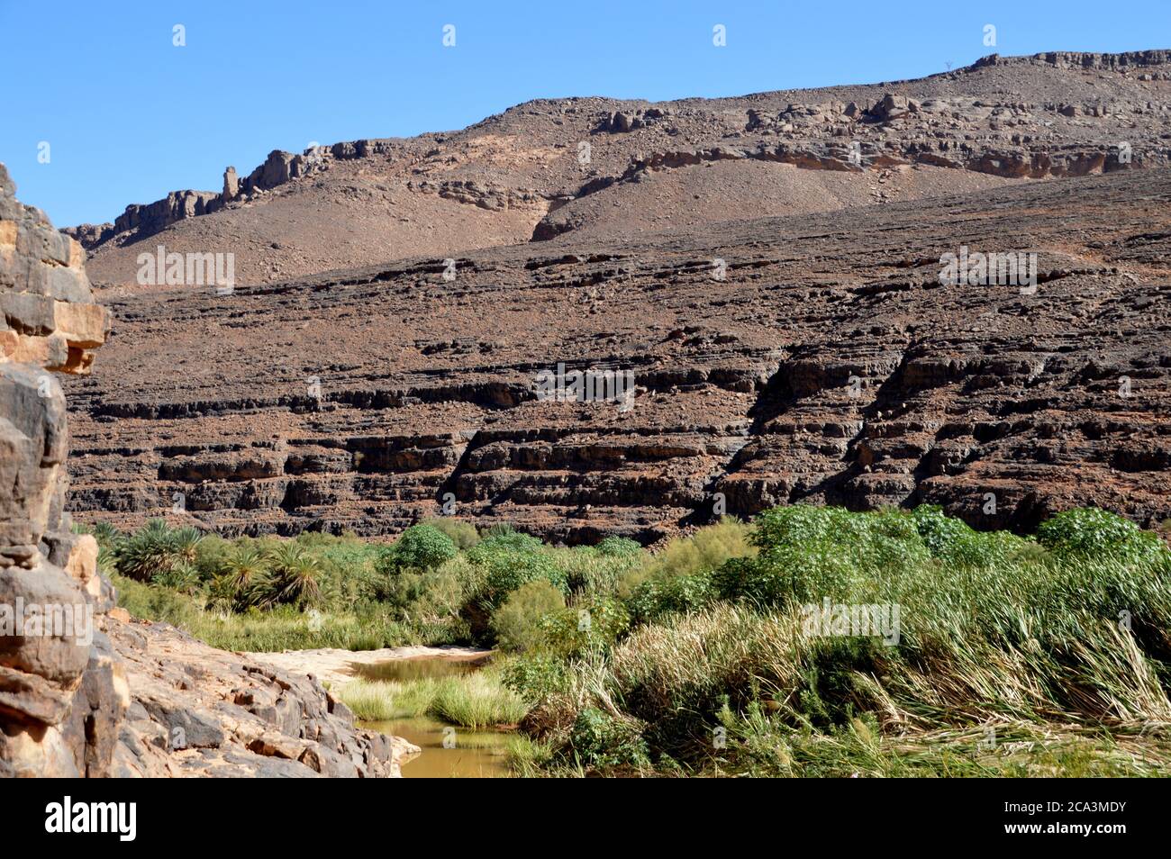 Algeria, Illizi, Parco Nazionale Tassili N'Ajjer: Piscina piena di pioggia (guelta) e vegetazione lussureggiante a Wadi Iherir. Foto Stock