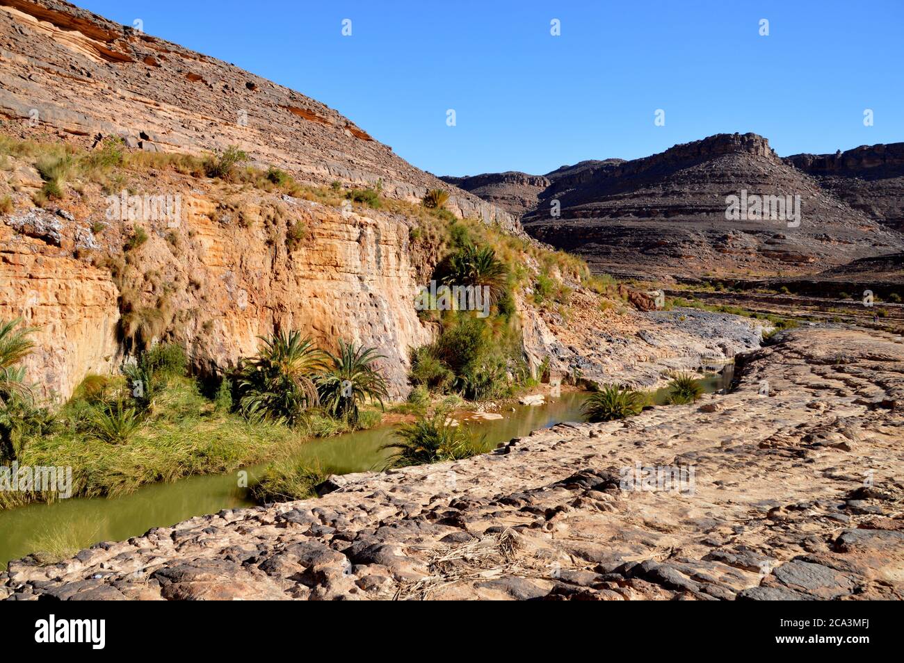 Algeria, Illizi, Parco Nazionale Tassili N'Ajjer: Piscina piena di pioggia (guelta) e vegetazione lussureggiante a Wadi Iherir. Foto Stock