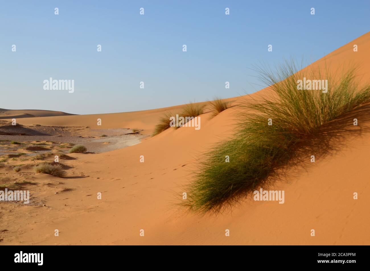 Parco Nazionale Algeria, Illizi, Tassili N'Ajjer: Dune di sabbia e formazioni rocciose di Tissetika nei monti Tadrart. Foto Stock