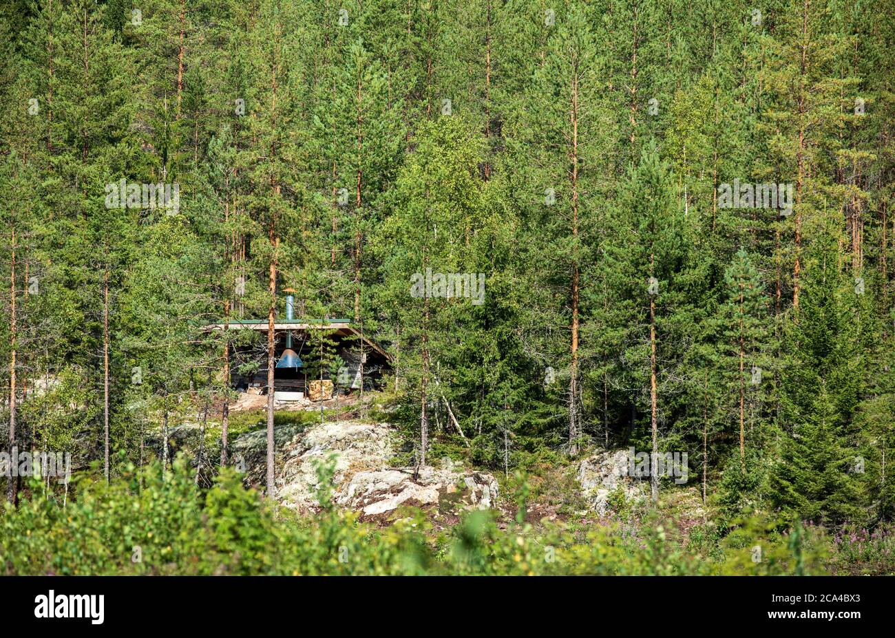 Vista di un lontano rifugio in legno , con camino , nella foresta di Estate , Finlandia Foto Stock