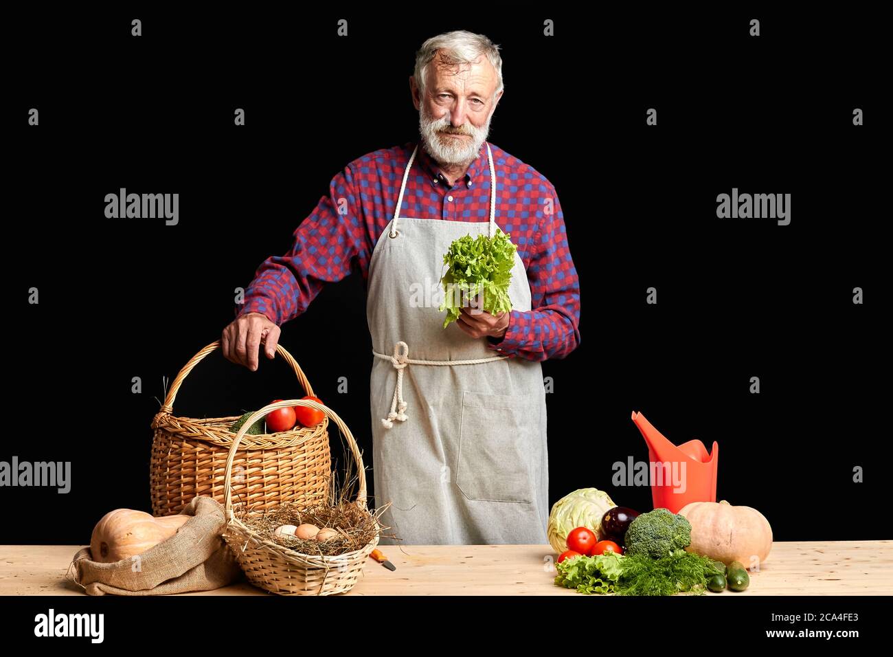 Stanco uomo dai capelli grigi con barba, proveniva dalla sua fattoria dopo una lunga giornata di lavoro, togliendo lattuga, pomodori, melanzane, zucche, cucum appena raccolti Foto Stock