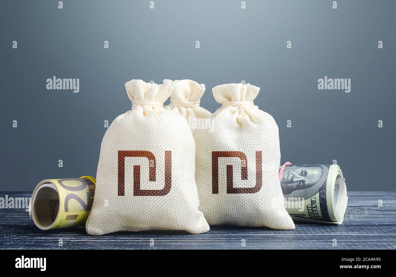 Sacchetti di denaro shekel israeliani e contanti. Riserva nazionale di oro e valuta estera. Investimenti di capitale. Politica monetaria economica. Sviluppo commerciale. Finan Foto Stock