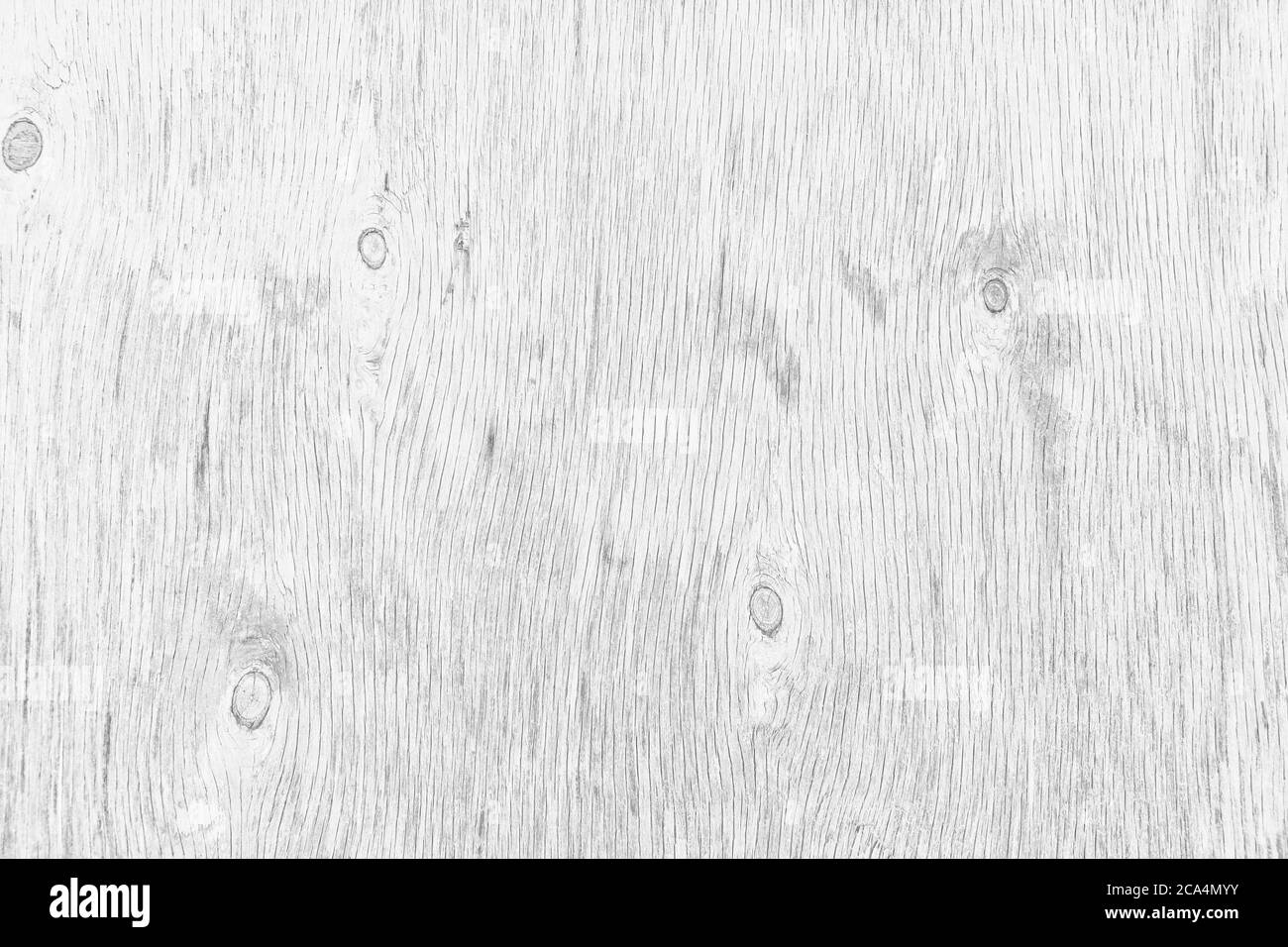 Struttura in legno sbiancato chiaro. La struttura del vecchio legno compensato essiccato. Sfondo in legno grigio chiaro per design. Foto Stock