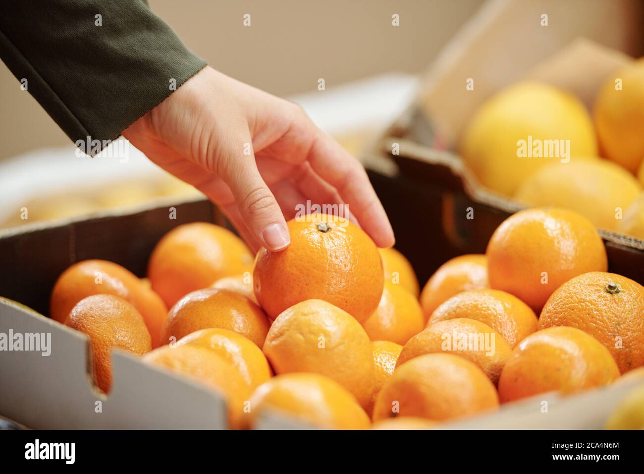 Primo piano di un cliente irriconoscibile che tocca la tangerina nella scatola mentre la sceglie per l'acquisto in negozio Foto Stock