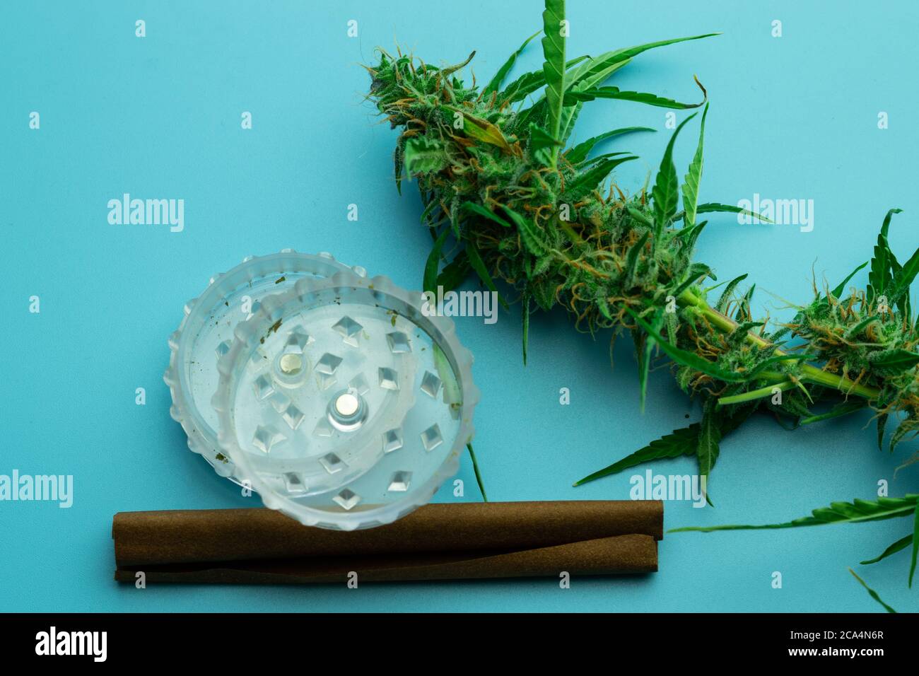 Pianta di cannabis e accessori per il fumo piano vista dall'alto, concetto di uso di marijuana medica Foto Stock