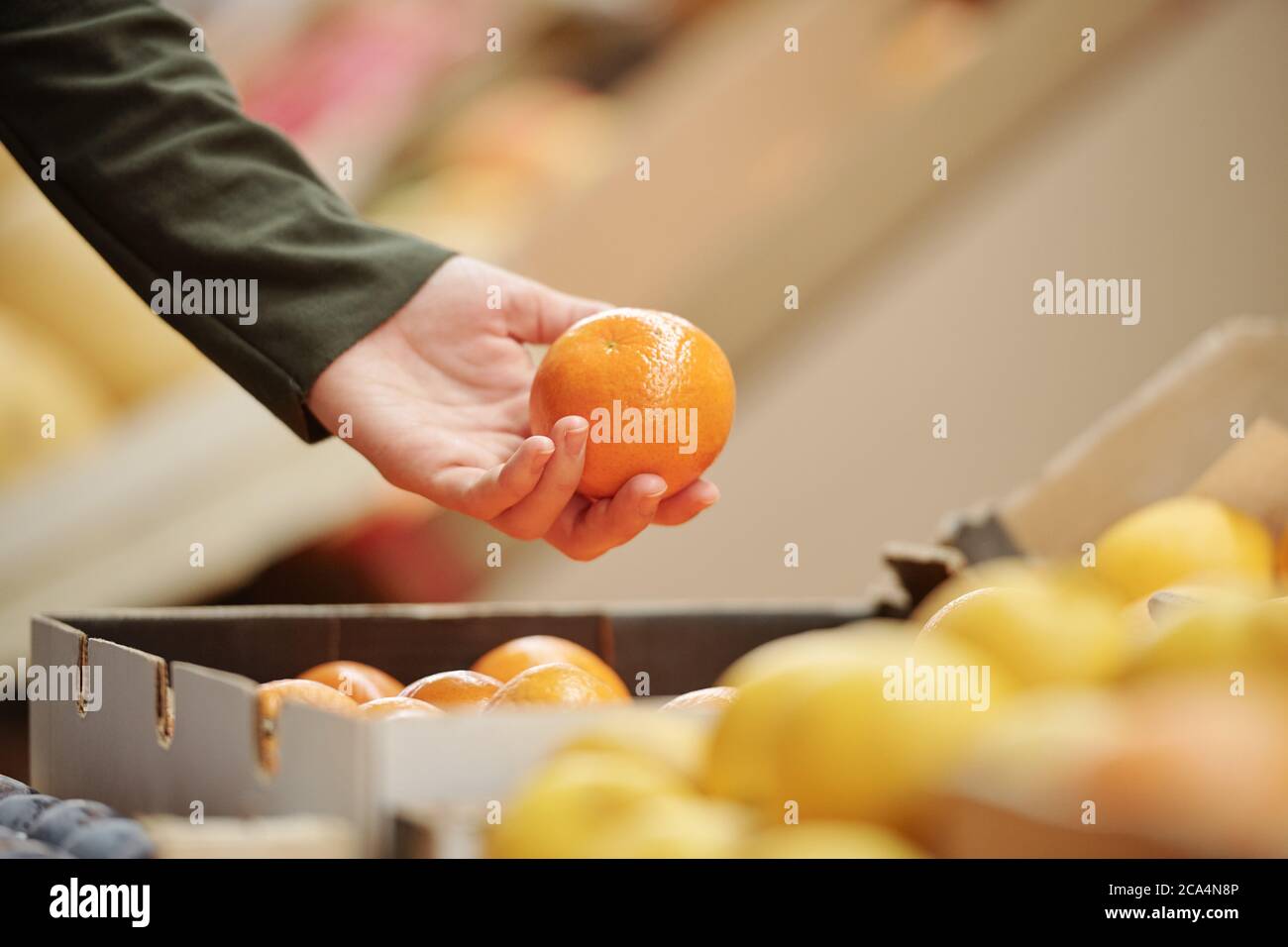 Primo piano di una persona irriconoscibile che sceglie la mandarino al mercato alimentare biologico, concetto di shopping Foto Stock
