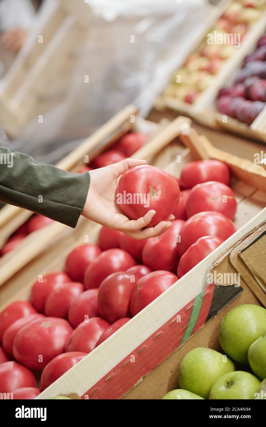 Primo piano di donna irriconoscibile che tiene il pomodoro maturo sopra il contatore mentre lo sceglie al mercato Foto Stock