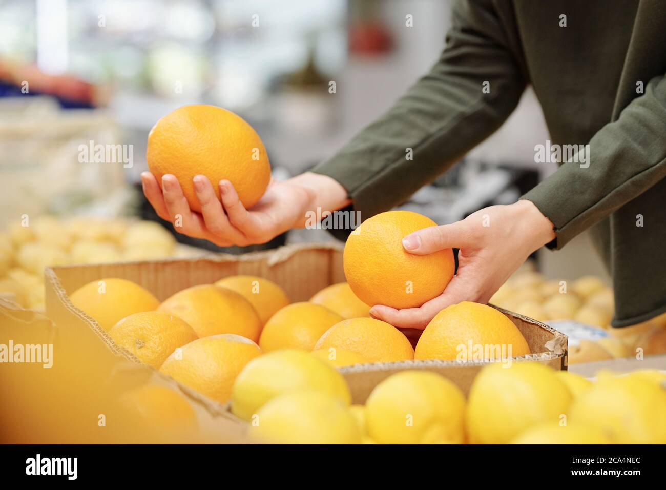 Primo piano di donna irriconoscibile in maglione che confronta le arance mentre lo acquista al mercato alimentare Foto Stock