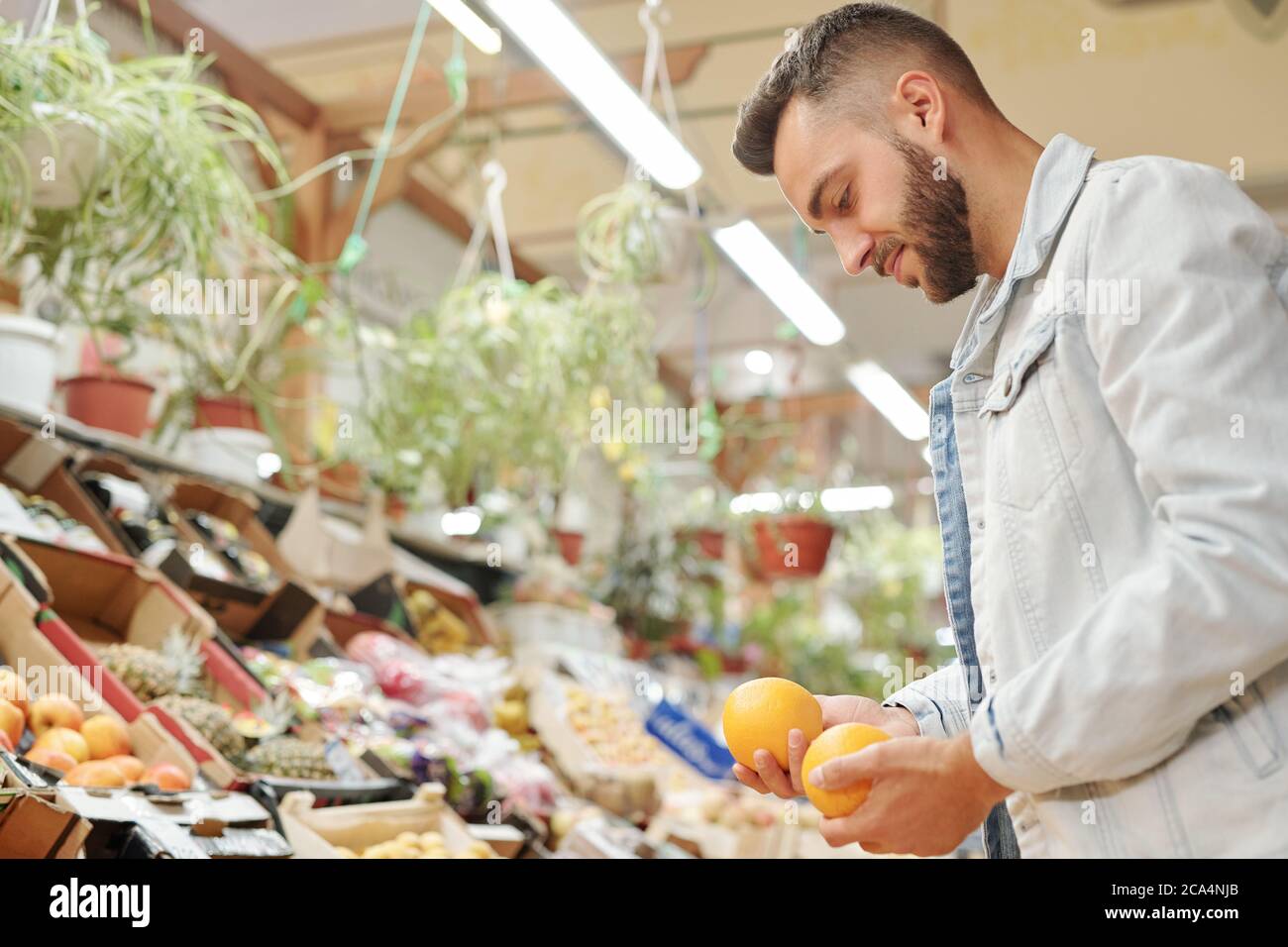 Contenuto giovane uomo bearded in giacca denim in piedi al bancone del cibo e la scelta tra due arance Foto Stock