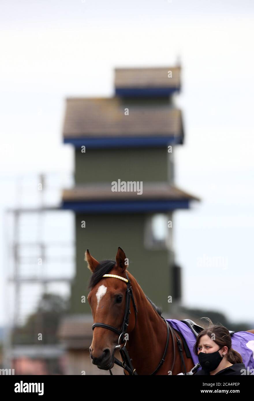 Giorno di Sadie nel circuito della parata all'Ippodromo di Beverley, East Riding dello Yorkshire. Foto Stock