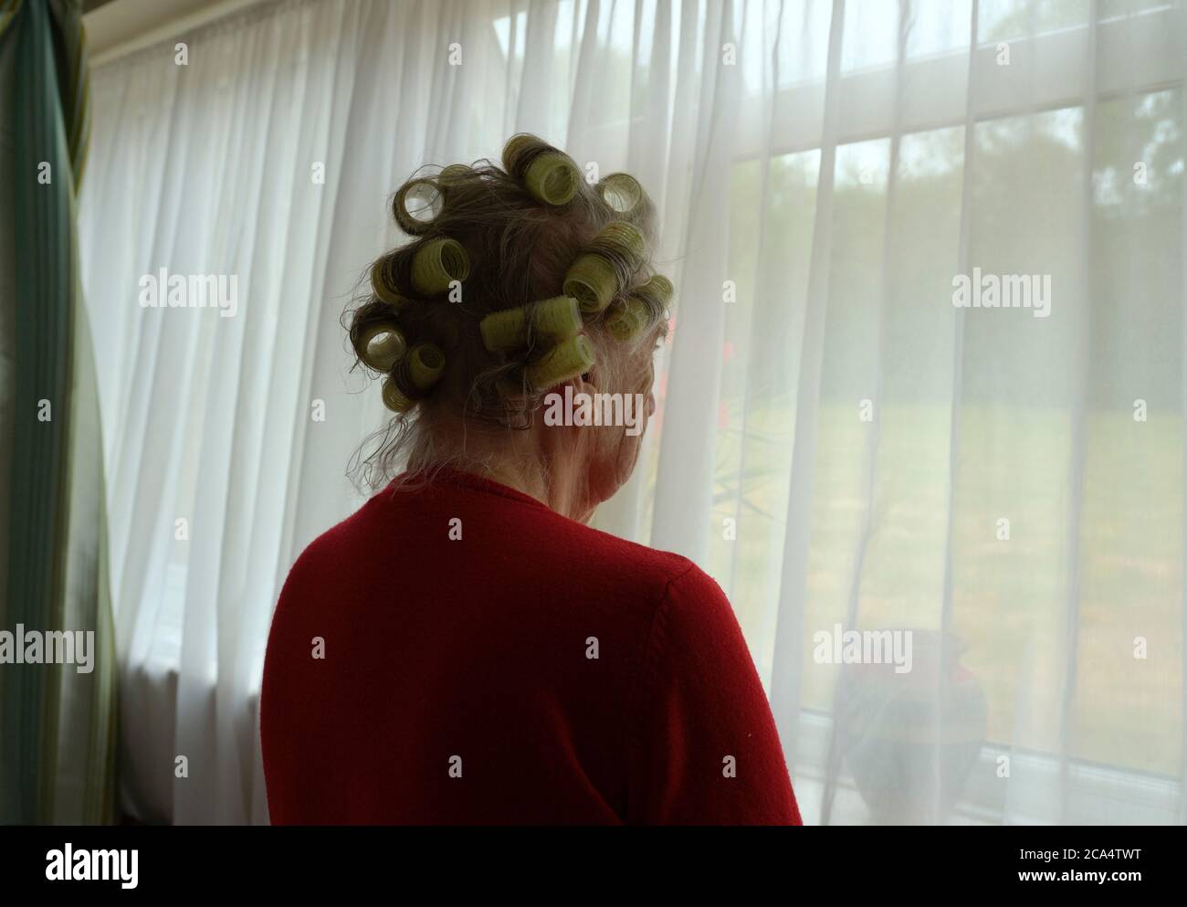 Vulnerabile anziana donna anziana auto isolamento durante Coronavirus Covid blocco con i suoi capelli lavati e set in rulli guardando fuori dalla sua finestra. Foto Stock