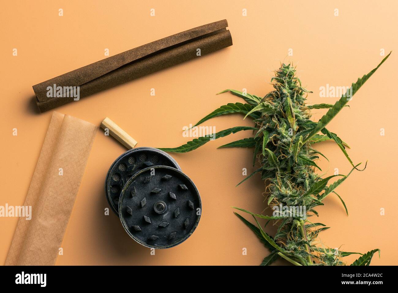 Primo piano della pianta di marijuana e degli accessori per fumare. Smerigliatrice, smussata e carta per giunti, vista dall'alto, disposizione piatta. Germogli di cannabis Foto Stock