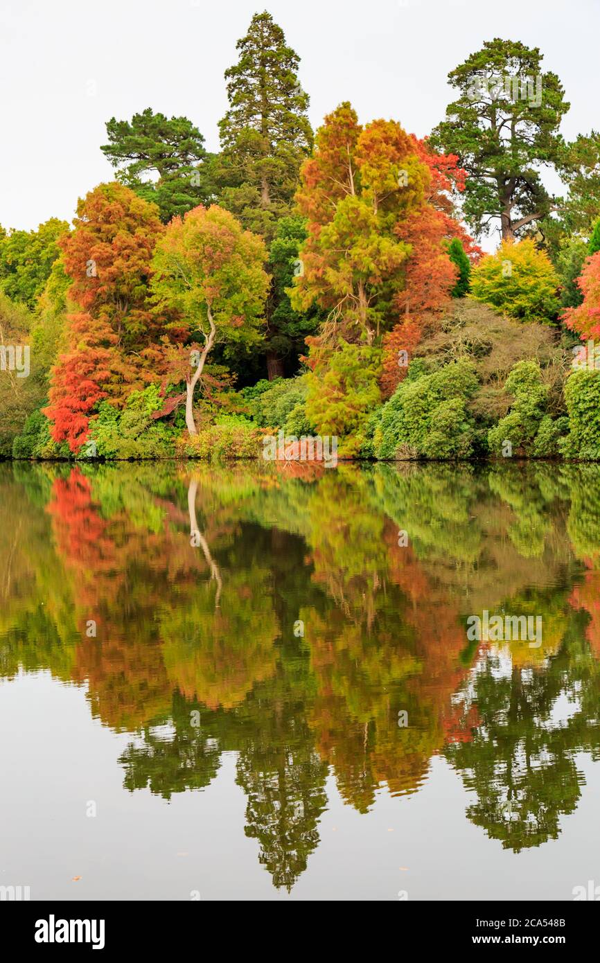 Riflessi autunnali in un lago Foto Stock