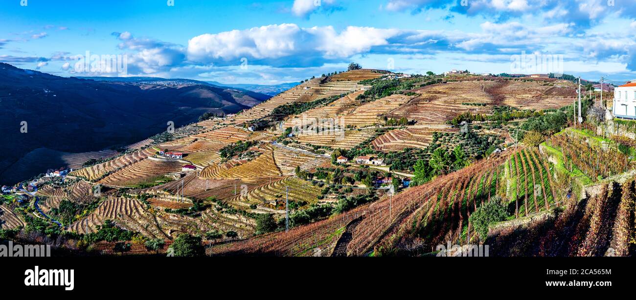 Vista sui vigneti della Valle del Douro, Pinhao, Portogallo Foto Stock