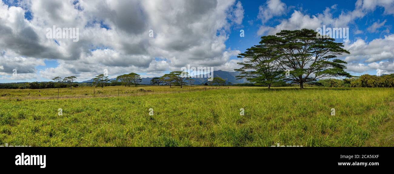 Nuvole su vaste praterie verdi, Kauai, Hawaii, Stati Uniti Foto Stock