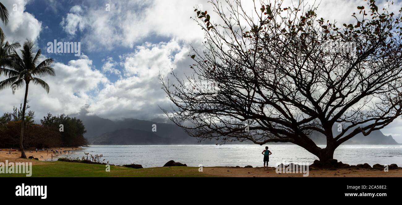 Silhouette di albero che cresce su Princeville Beach, Kauai, Hawaii, USA Foto Stock