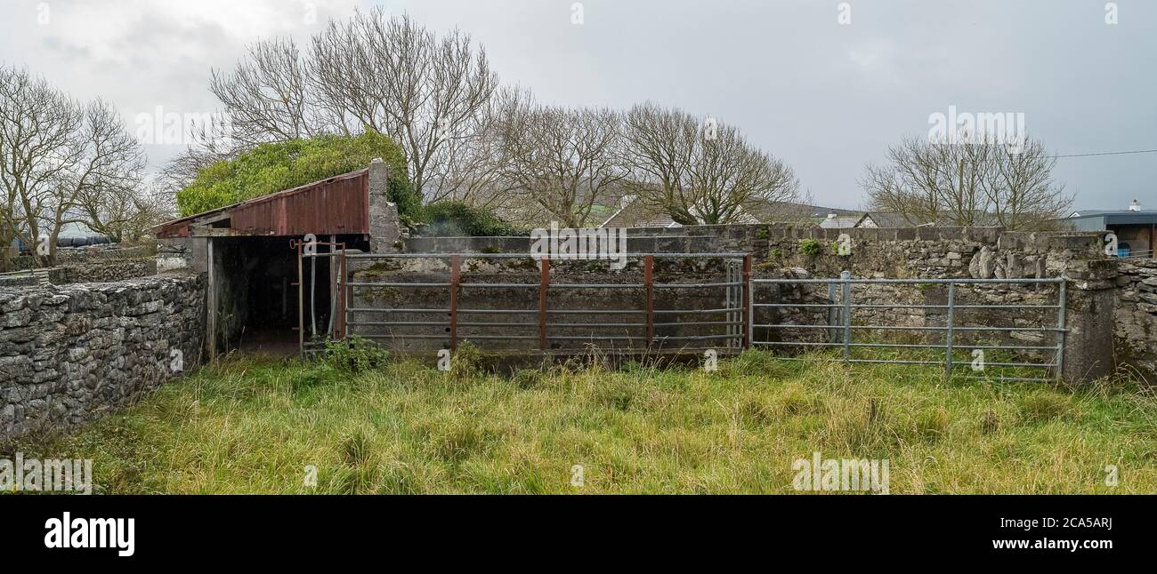 Homestead, Burren, County Clare, Irlanda Foto Stock