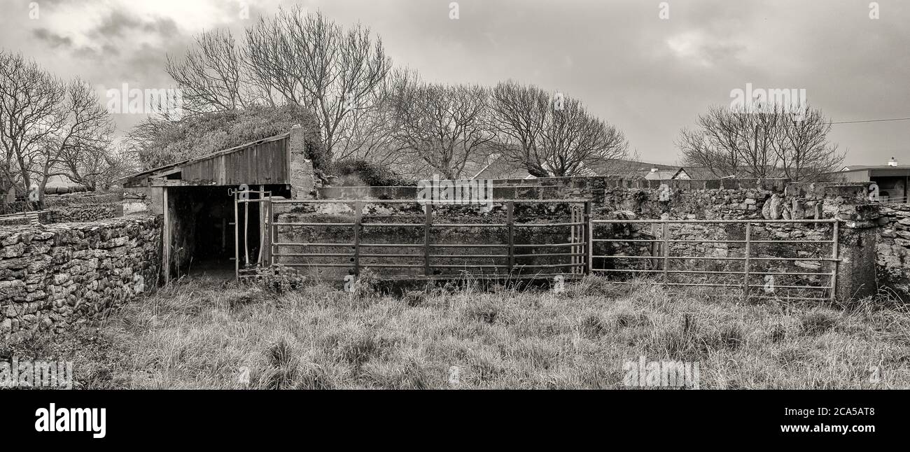 Homestead, Burren, County Clare, Irlanda Foto Stock