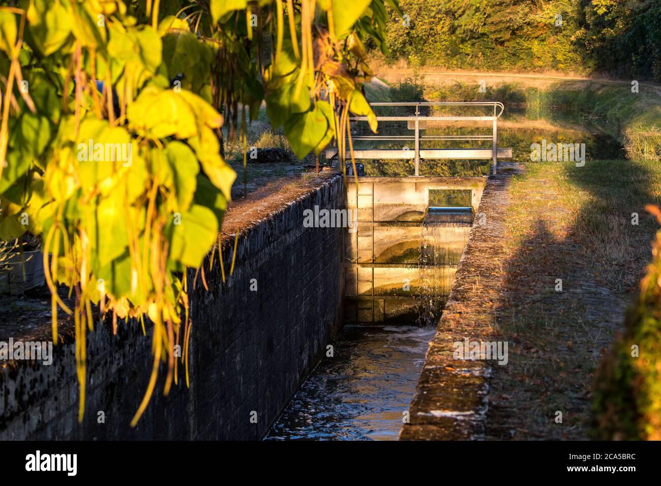 Francia, Loir et Cher, Valle della Loira patrimonio mondiale dell'UNESCO, Selles-sur-Cher, Canal du Berry Foto Stock