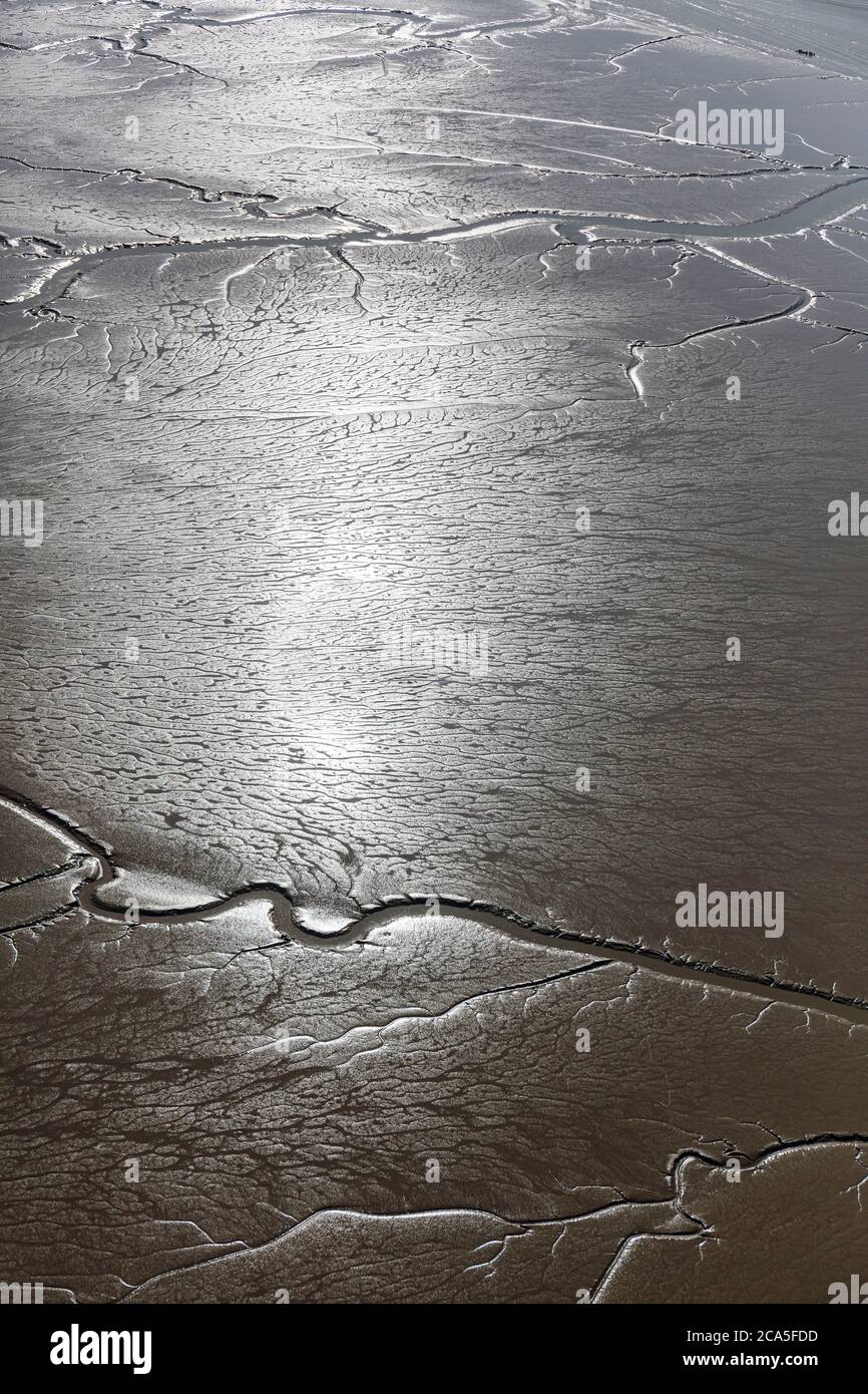 Francia, Vendee, Triaize, fango nella baia di l'Aiguillon a bassa marea (vista aerea) Foto Stock