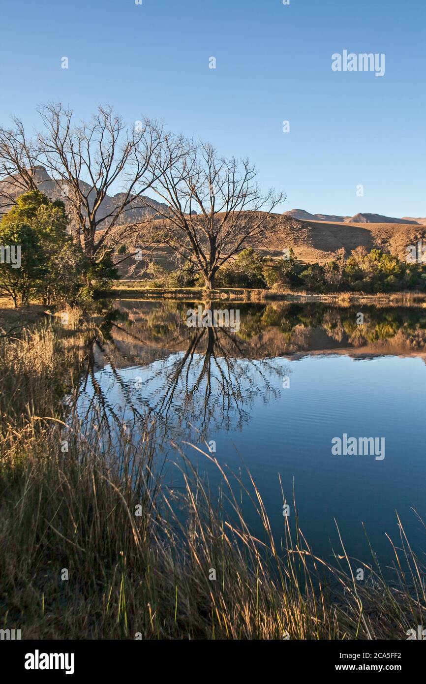 Riflessi scenici in un lago Drakensberg 11056 Foto Stock