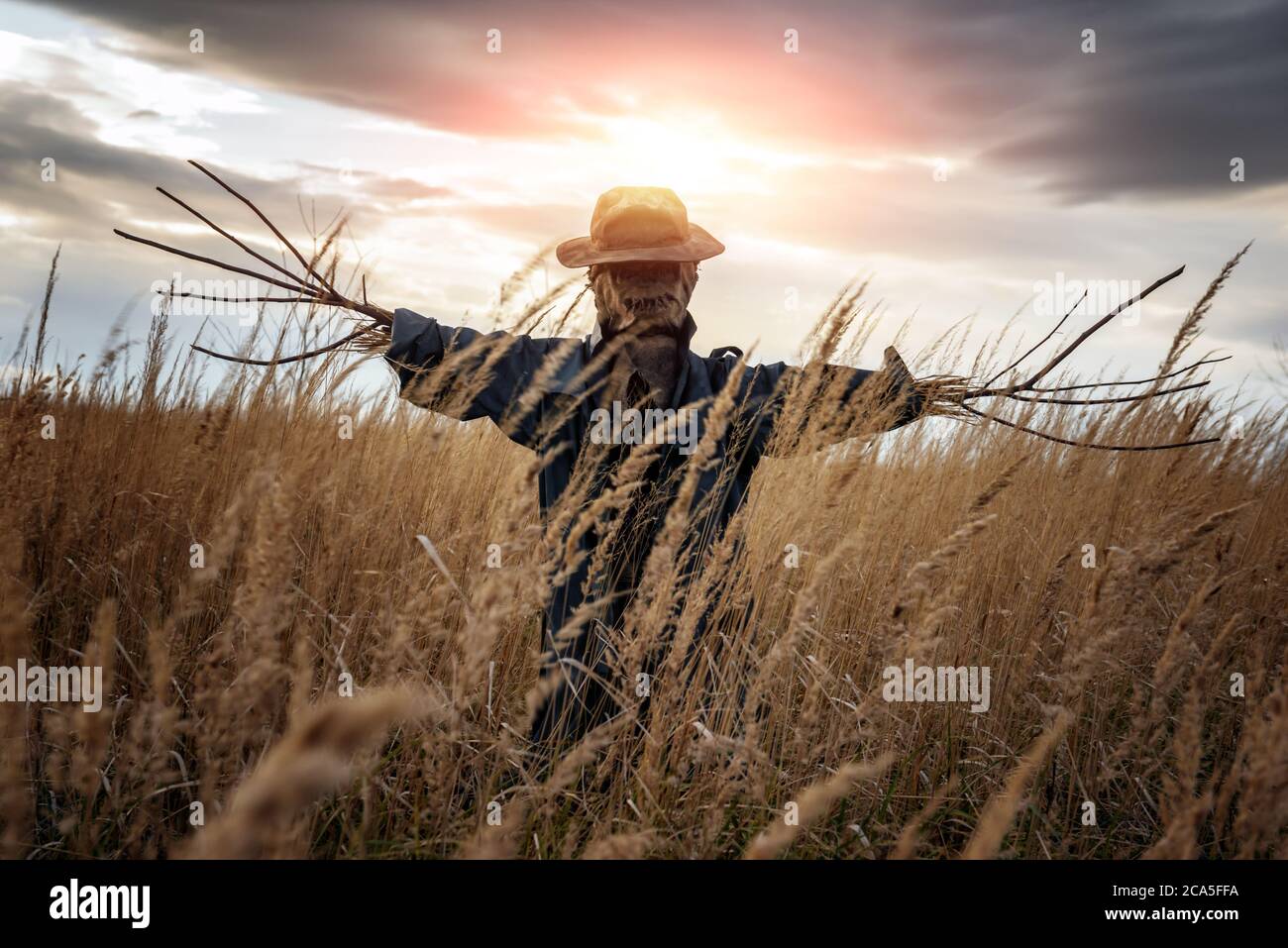 Spaventoso scrubber in mantello scuro e cappello sporco si erge da solo in un campo autunnale all'ora del tramonto. Concetto di Halloween Foto Stock
