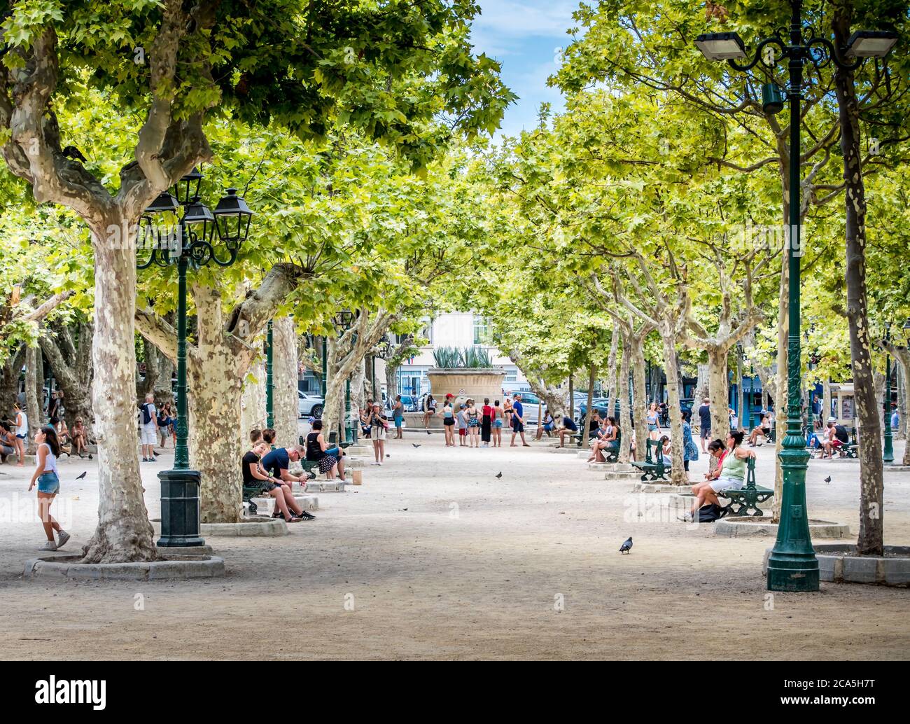 Place des Lices à Saint-Tropez en France avec ses touristes sous les arbres Foto Stock