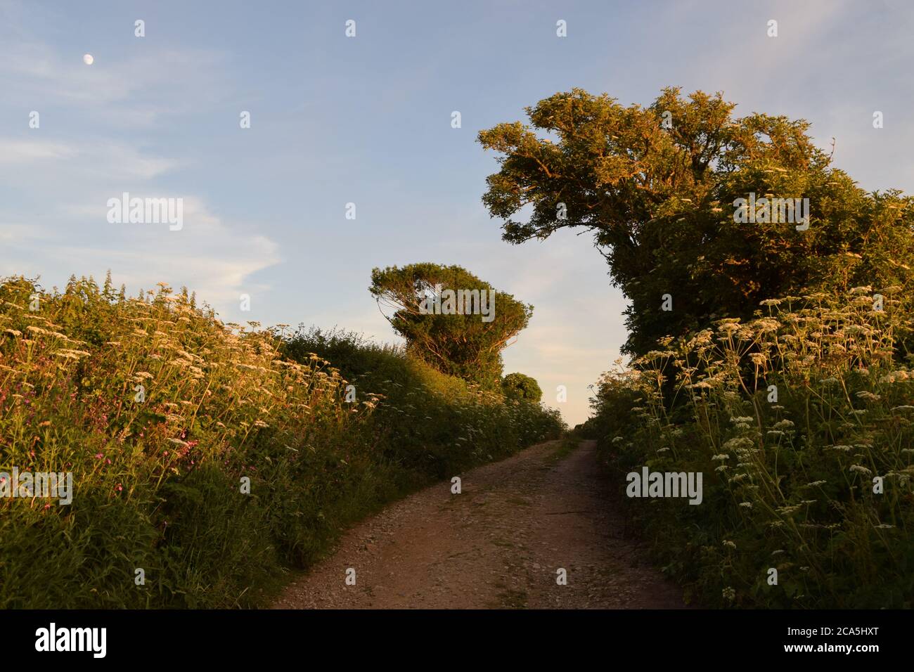 pista in luce soffusa Foto Stock