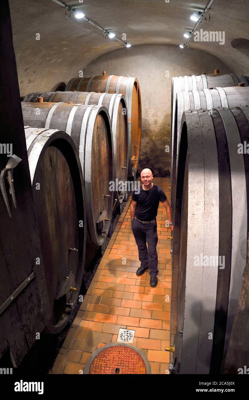 Svizzera, Cantone di Vaud, Aigle, Marc Emery nella cantina dei Grands Vins d'Aigle Alain Emery Foto Stock