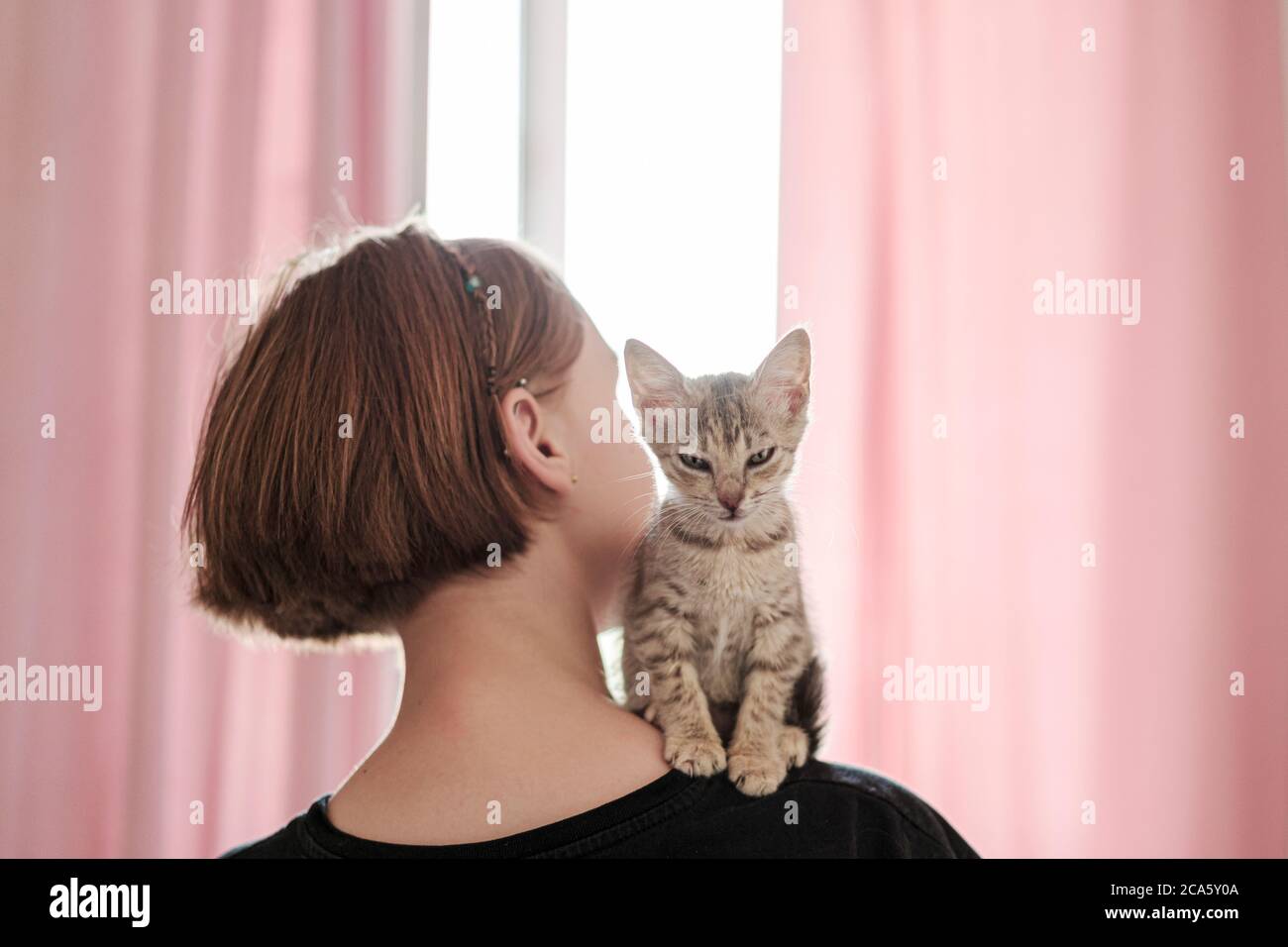 Carino gattino grigio con occhi verdi si siede sulla spalla della padrona. Foto Stock