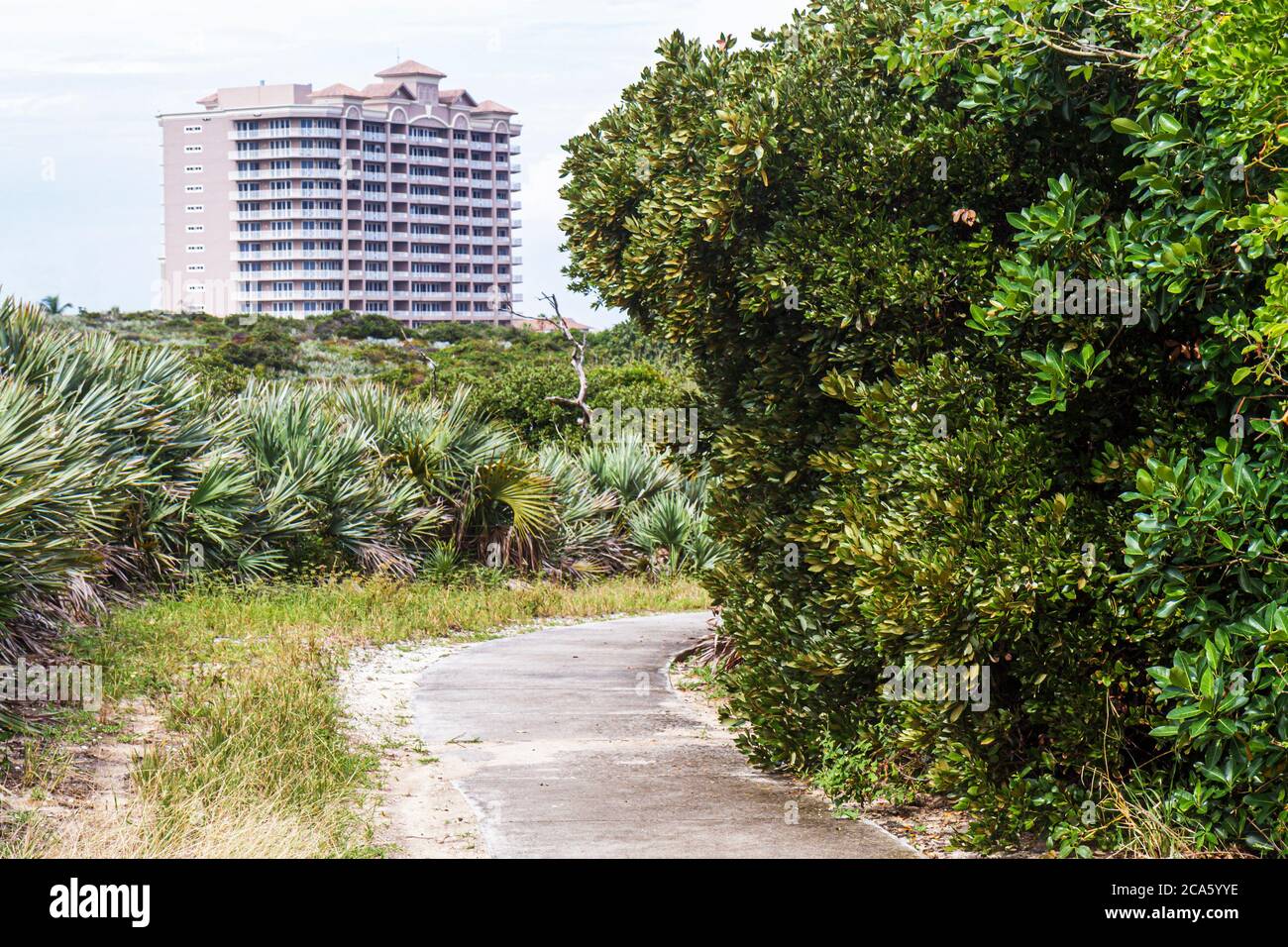 Juno Beach Florida, autostrada A1A, Loggerhead Park, sentiero naturalistico costiero escursionistico, Saw Palmetto, Ocean Water Royale Condominiums, grattacielo alto grattacielo Foto Stock