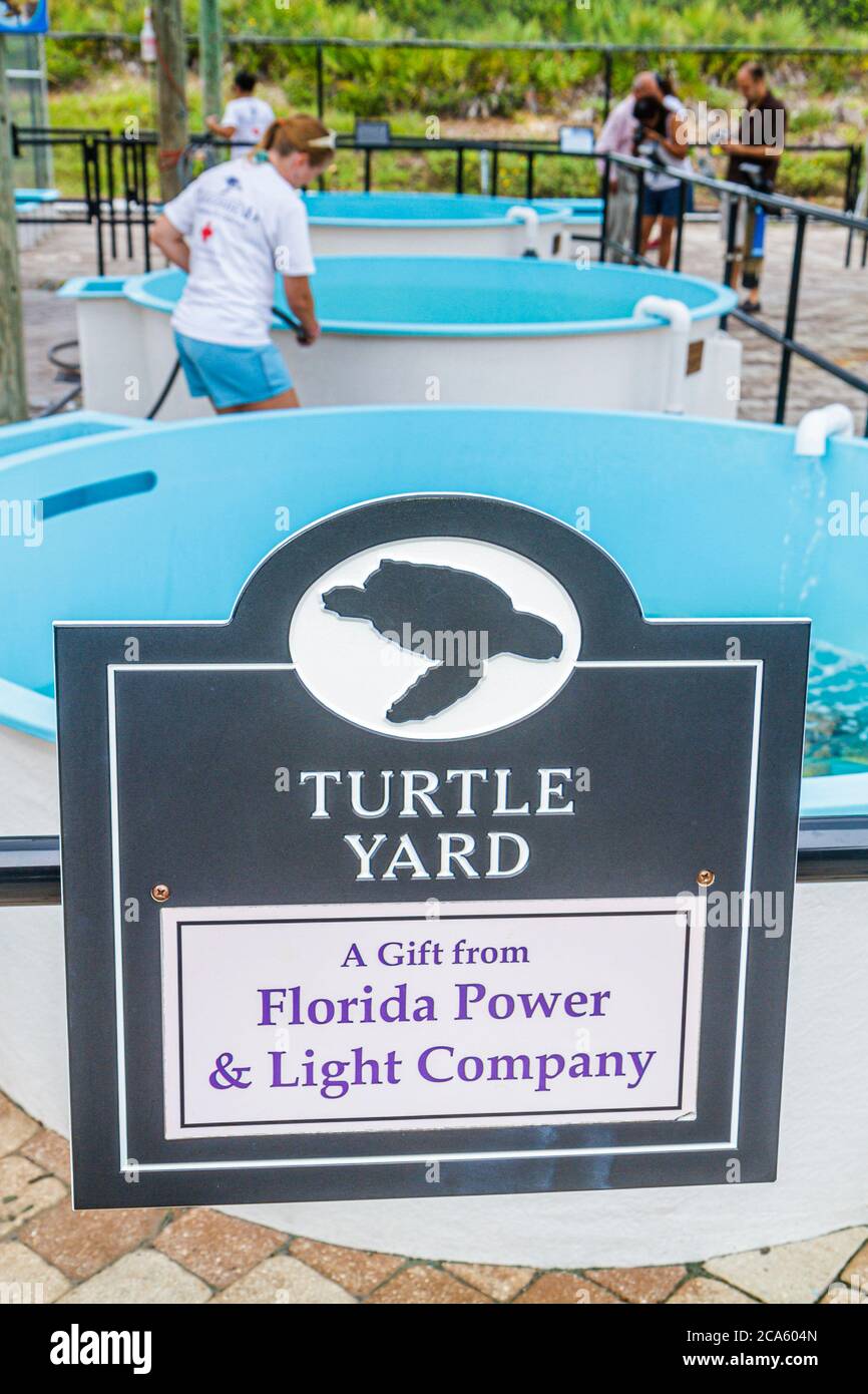 Juno Beach Florida, autostrada A1A, Loggerhead Park, Loggerhead Marinelife Center, centro, tartaruga marina, mostra collezione, museo, serbatoio, cartello, logo, regalo Foto Stock