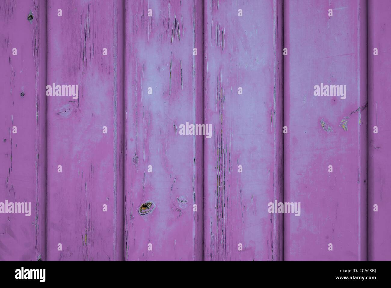 Sfondo di recinzione di colore viola di legno invecchiato con tavole verticali. Foto Stock