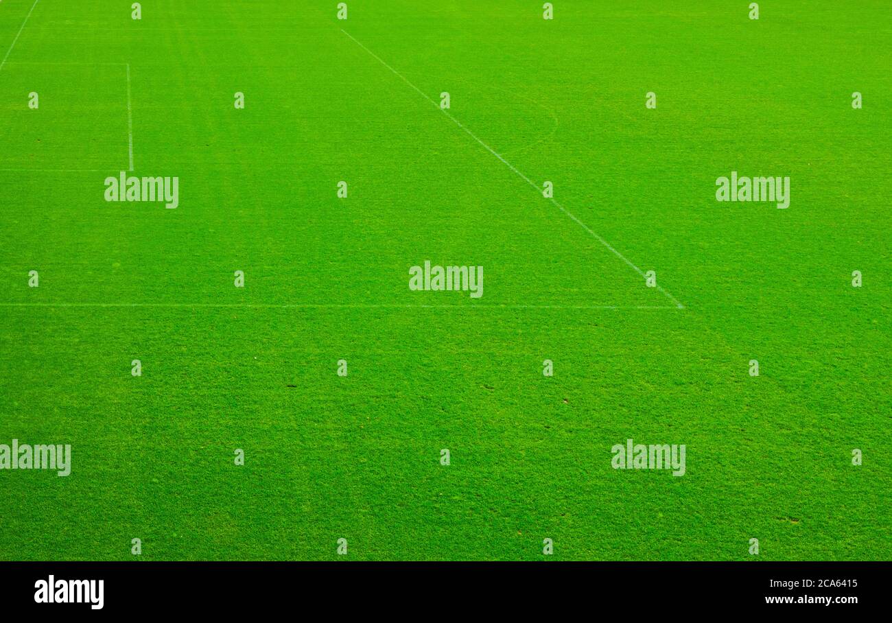 Vista aerea superiore del campo da calcio con prato verde erba, trama, strisce bianche sullo stadio sportivo Foto Stock