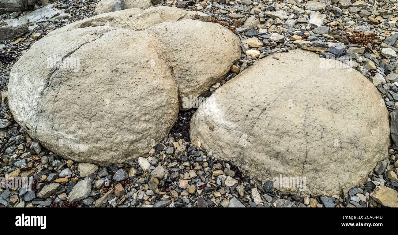 Vista delle rocce costiere, Tromboliti, Terranova Occidentale Foto Stock