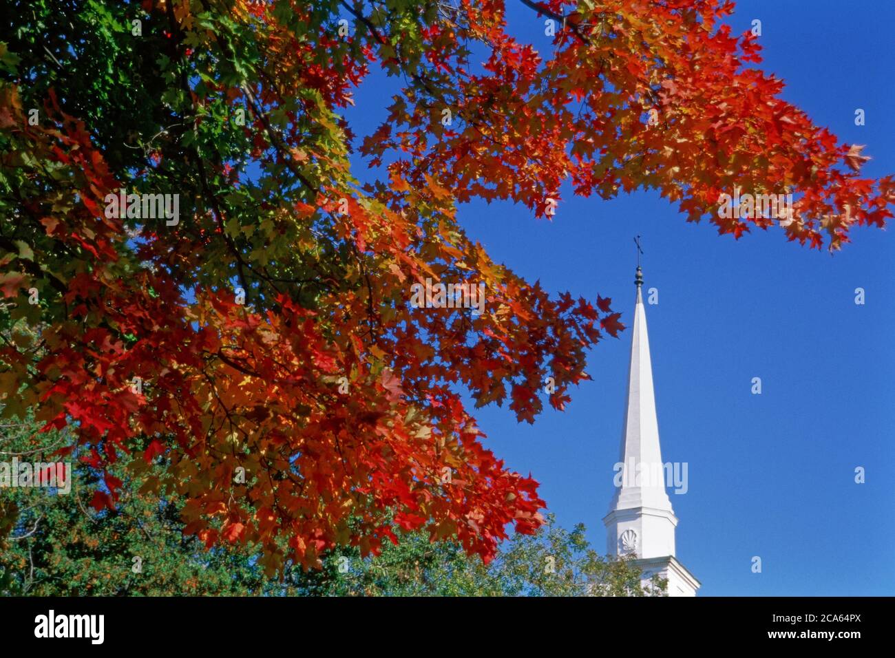Ramo dell'albero autunnale e campanile della chiesa, Vermont, Stati Uniti Foto Stock