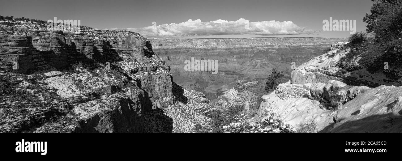 South Rim in Winter, Grand Canyon National Park, Arizona, USA Foto Stock
