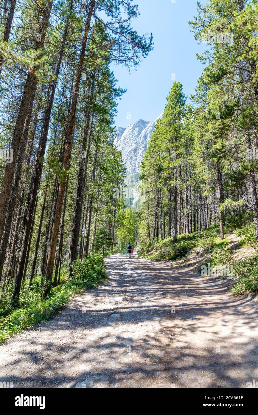 Sentiero kananaskis immagini e fotografie stock ad alta risoluzione - Alamy