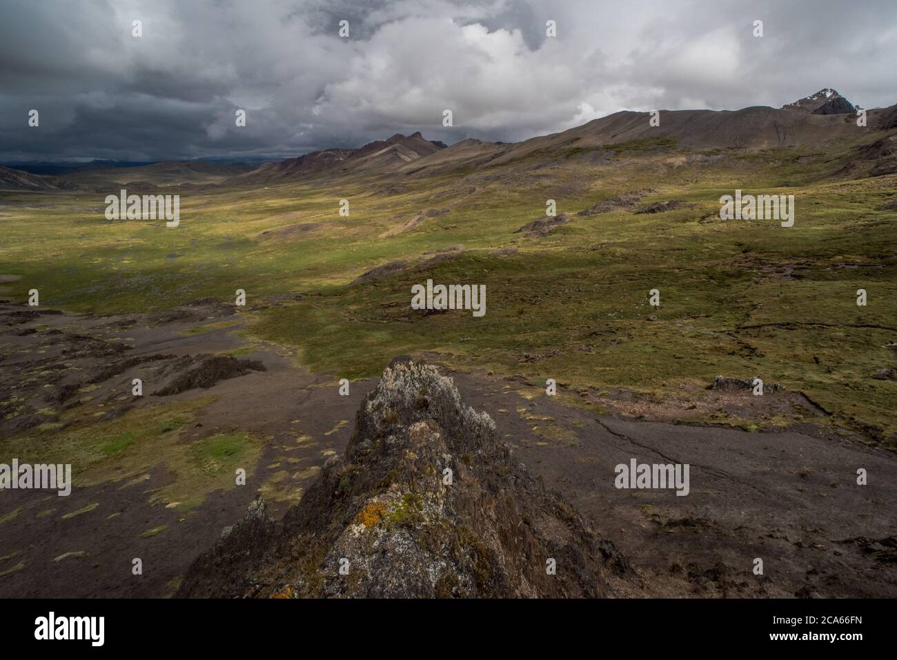 Una valle alta nelle Ande montagne del Perù meridionale. Questo habitat fornisce importanti terreni di pascolo per mandrie di vicuna nella zona. Foto Stock