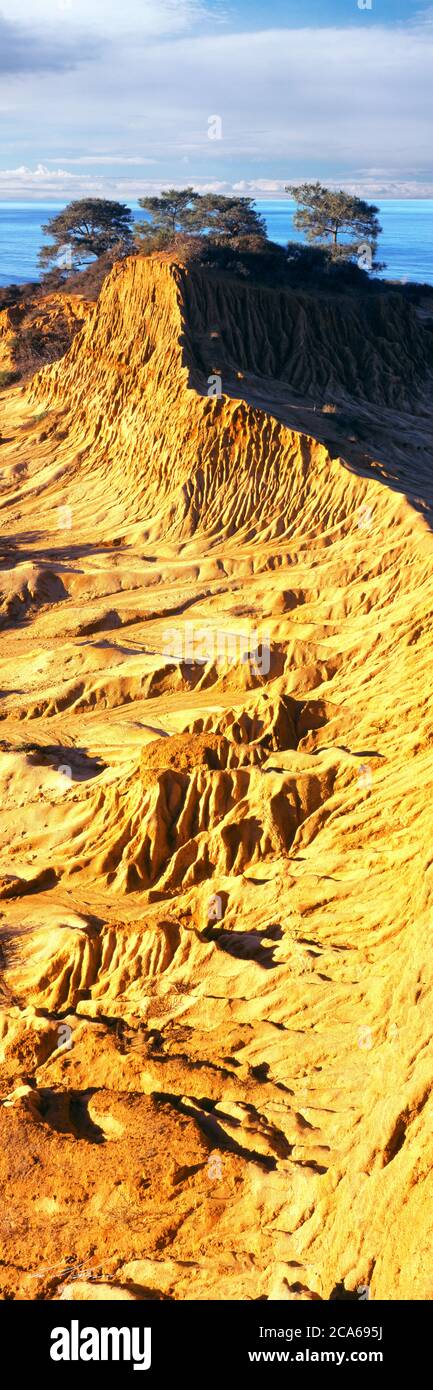 Vista sulla formazione rocciosa, il panorama di Broken Hill, la riserva naturale di Torrey Pines state, San Diego, California, Stati Uniti Foto Stock