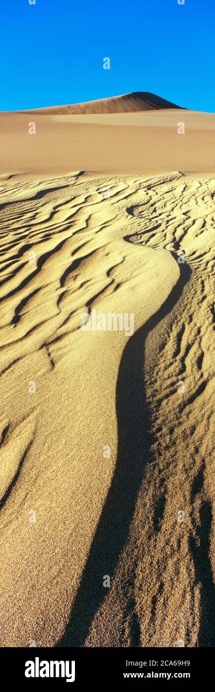 Vista delle dune di sabbia, Great Sand Dunes National Park, Colorado, USA Foto Stock