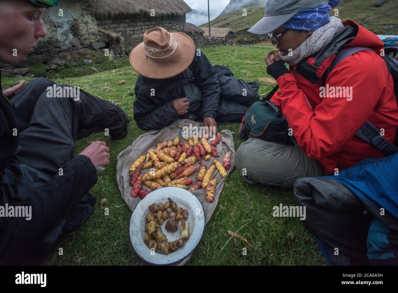 Un pic-nic condiviso di oca fresca alta nelle Ande peruviane. Oca è stato coltivato tradizionalmente qui fin dai tempi pre-Inca. Foto Stock