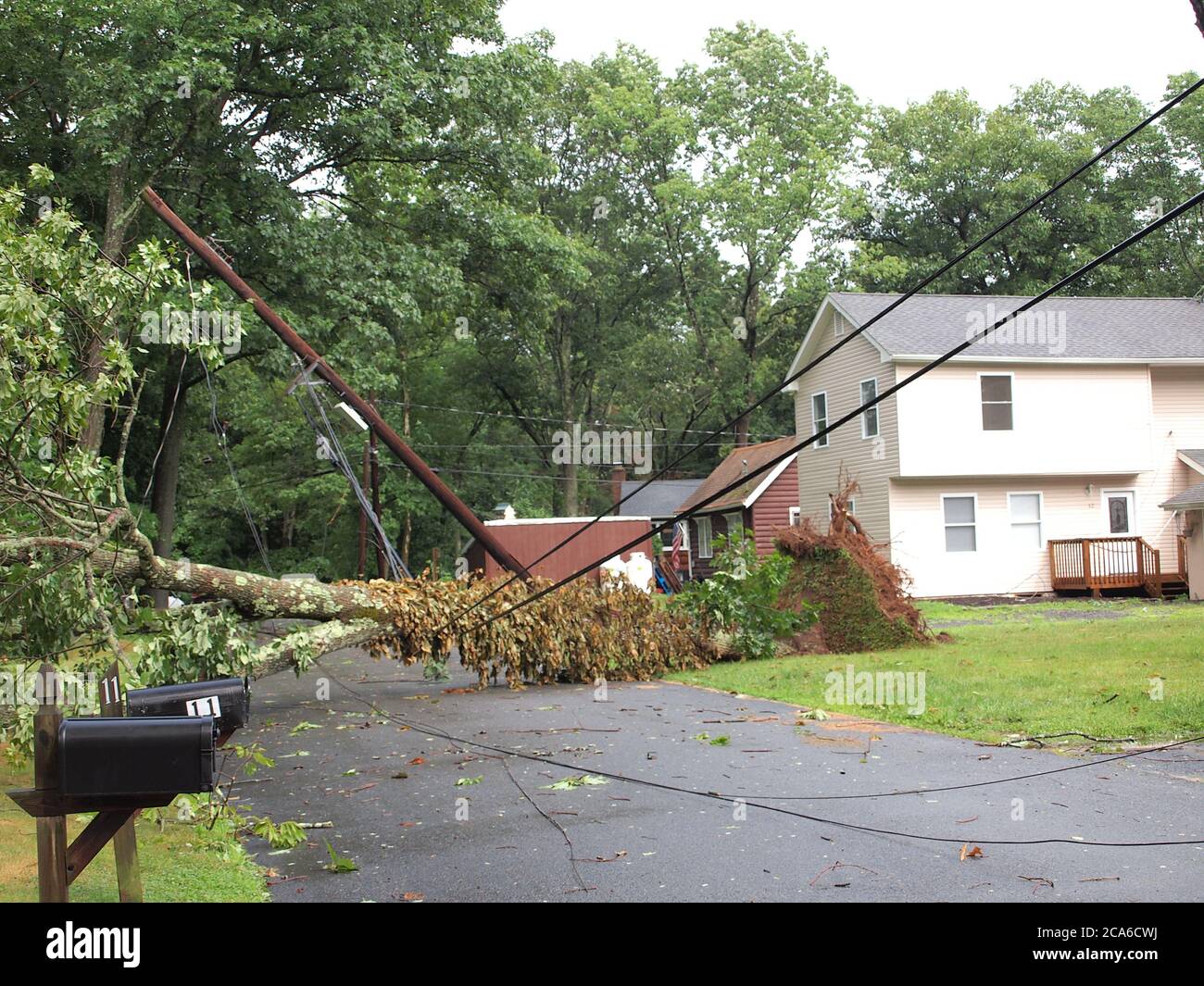 04 AGO 2020, Jefferson Twp., Morris County, New Jersey. Isaia lascia 1.3 milioni senza potere mentre la tempesta si dirige a nord nel New England. Linee elettriche abbattute da venti elevati. Tutto NJ è sotto un orologio del tornado in questo momento. Credito; Tom Cassidy/Alamy Live News Foto Stock