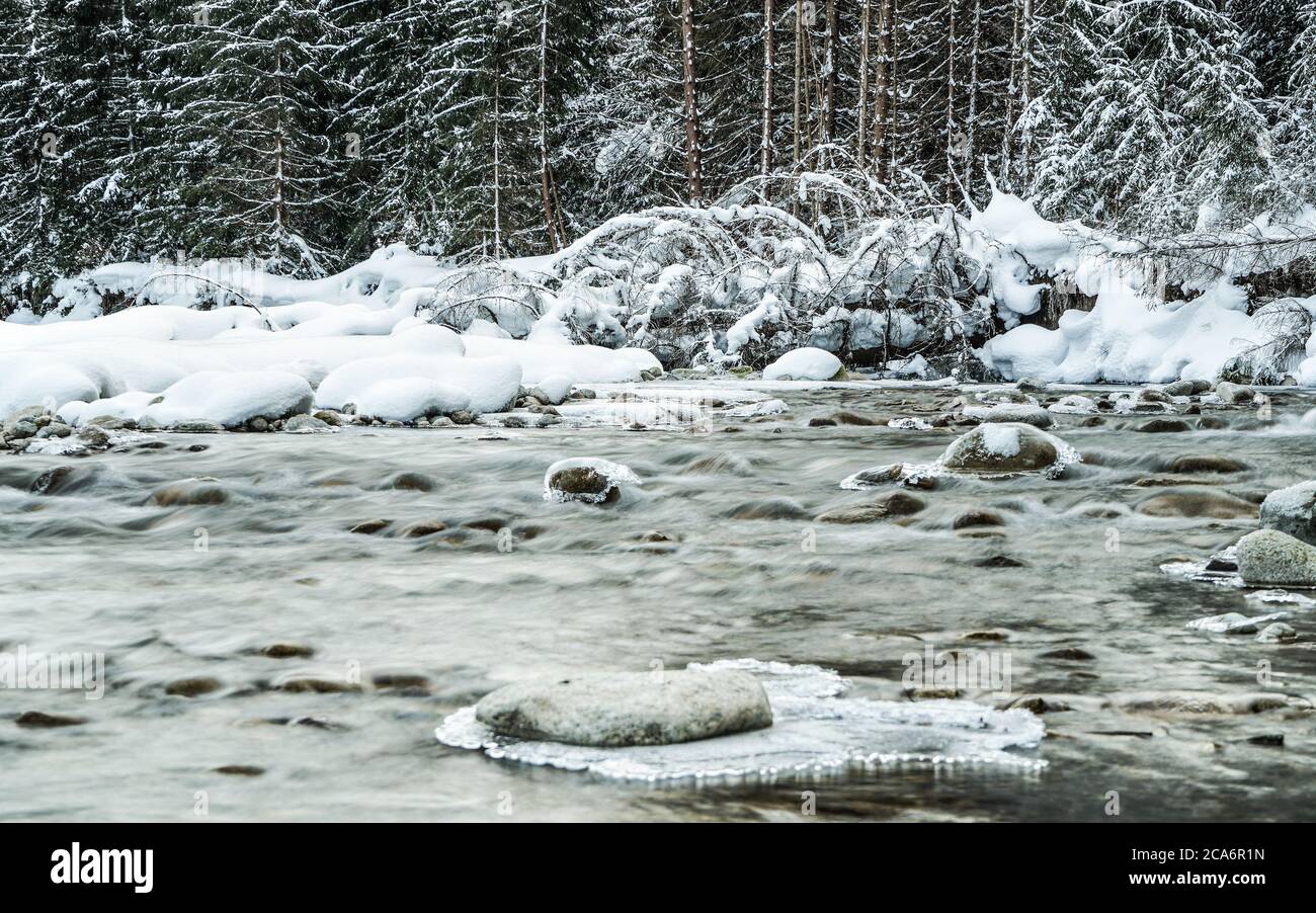 Piccolo torrente d'inverno, alberi innevati e sfondo della riva, ghiaccio sulla cima delle rocce del fiume Foto Stock