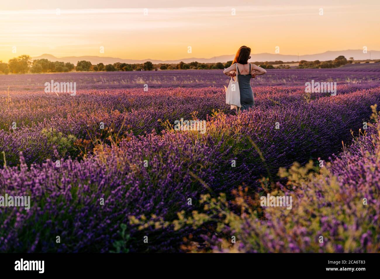 girlfriends divertirsi e godersi una passeggiata nei campi di lavanda, vacanze natura, Spagna Foto Stock