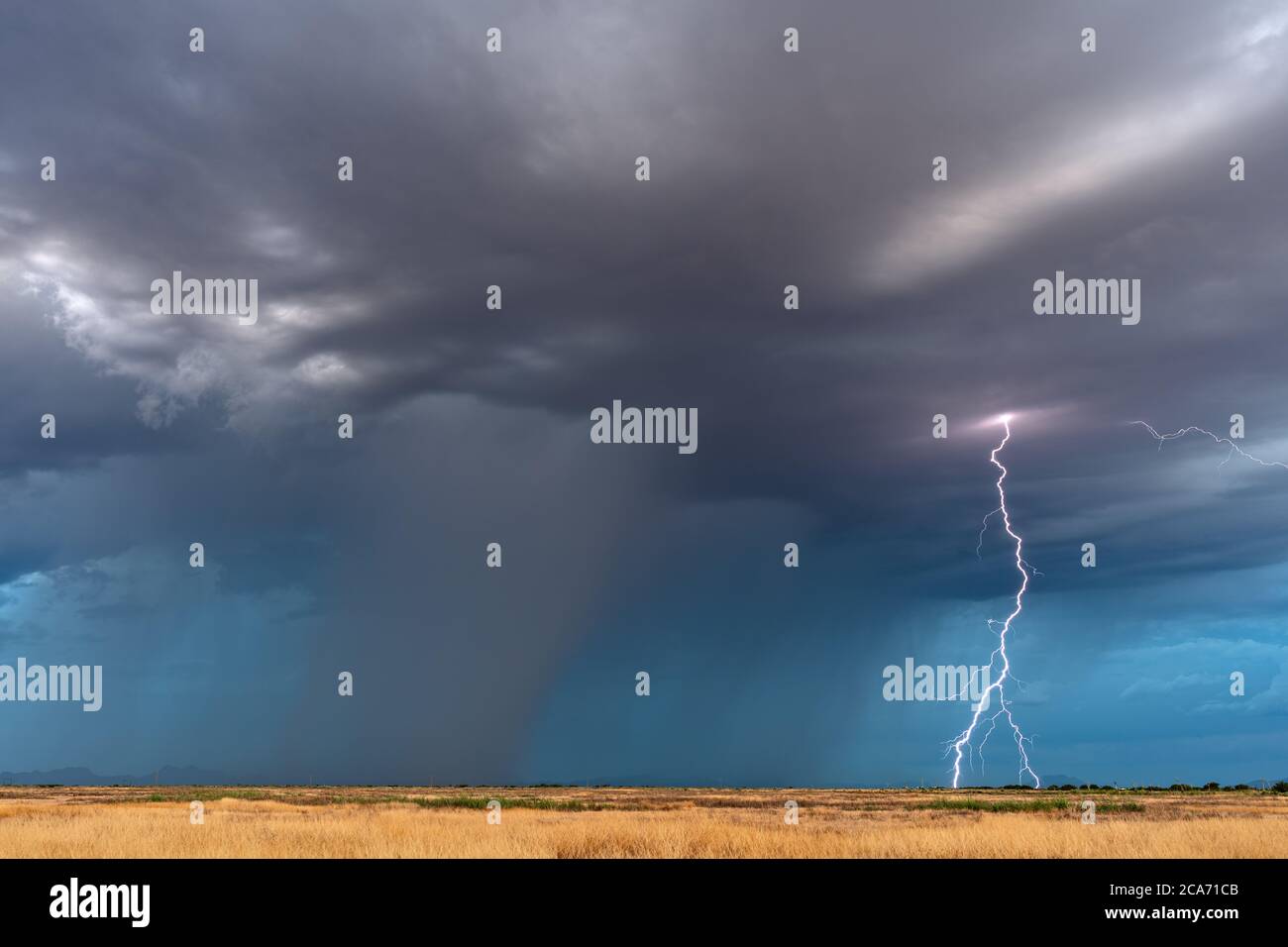 Tempesta monsonica dell'Arizona con un fulmine che colpisce nel deserto Foto Stock