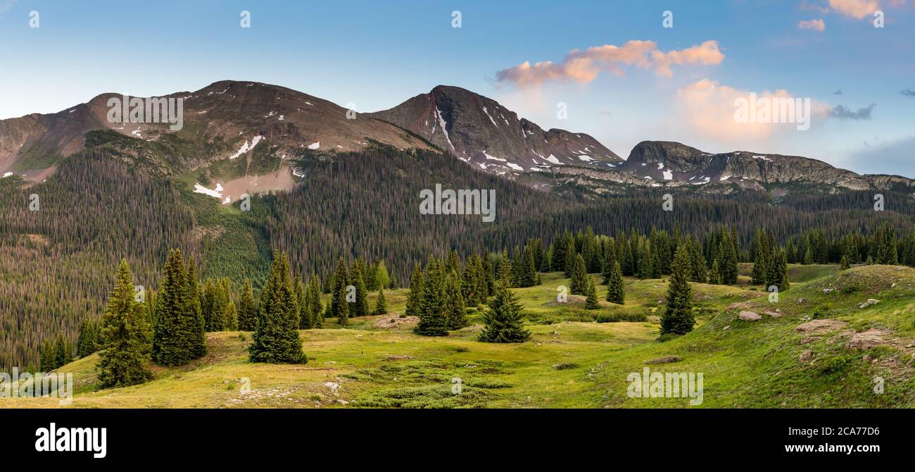 Paesaggio panoramico al tramonto di un verde prato alpino con abeti e abeti sotto una catena montuosa innevata e le nuvole colorate in Colorado Foto Stock