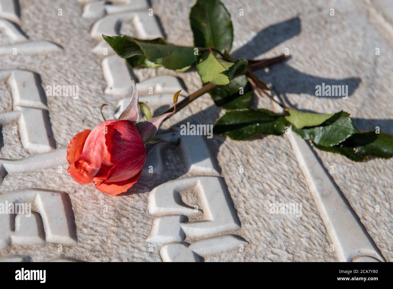 Una Rosa unica poggia sulla cima di una tomba dipinta di bianco presso il Cimitero Ebraico di Fes, Marocco Foto Stock