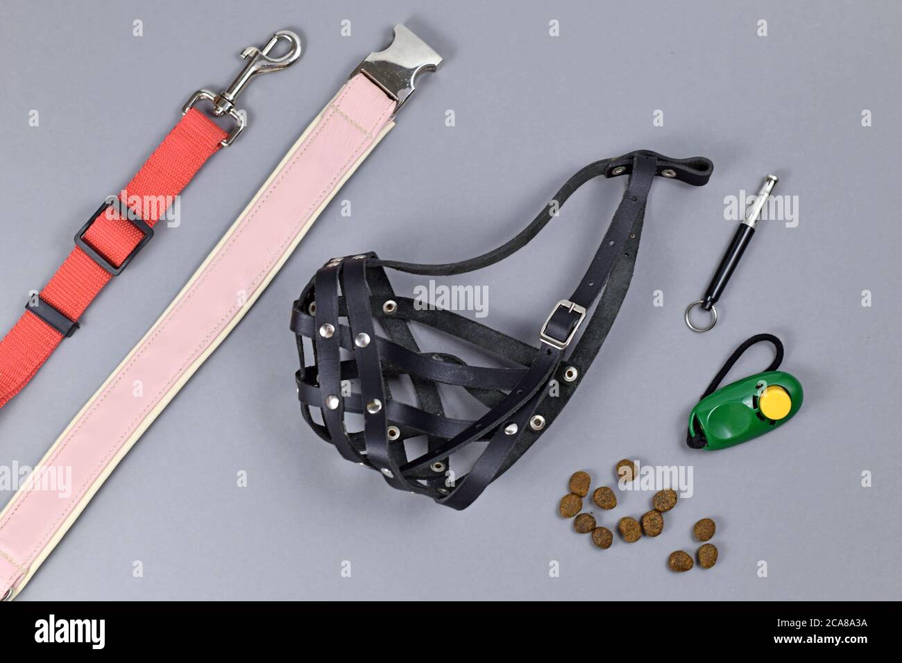 Concetto di addestramento del cane con attrezzi come il clicker, il fischio del cane, guinzaglio, collare, treats e muso di contenimento su sfondo grigio Foto Stock