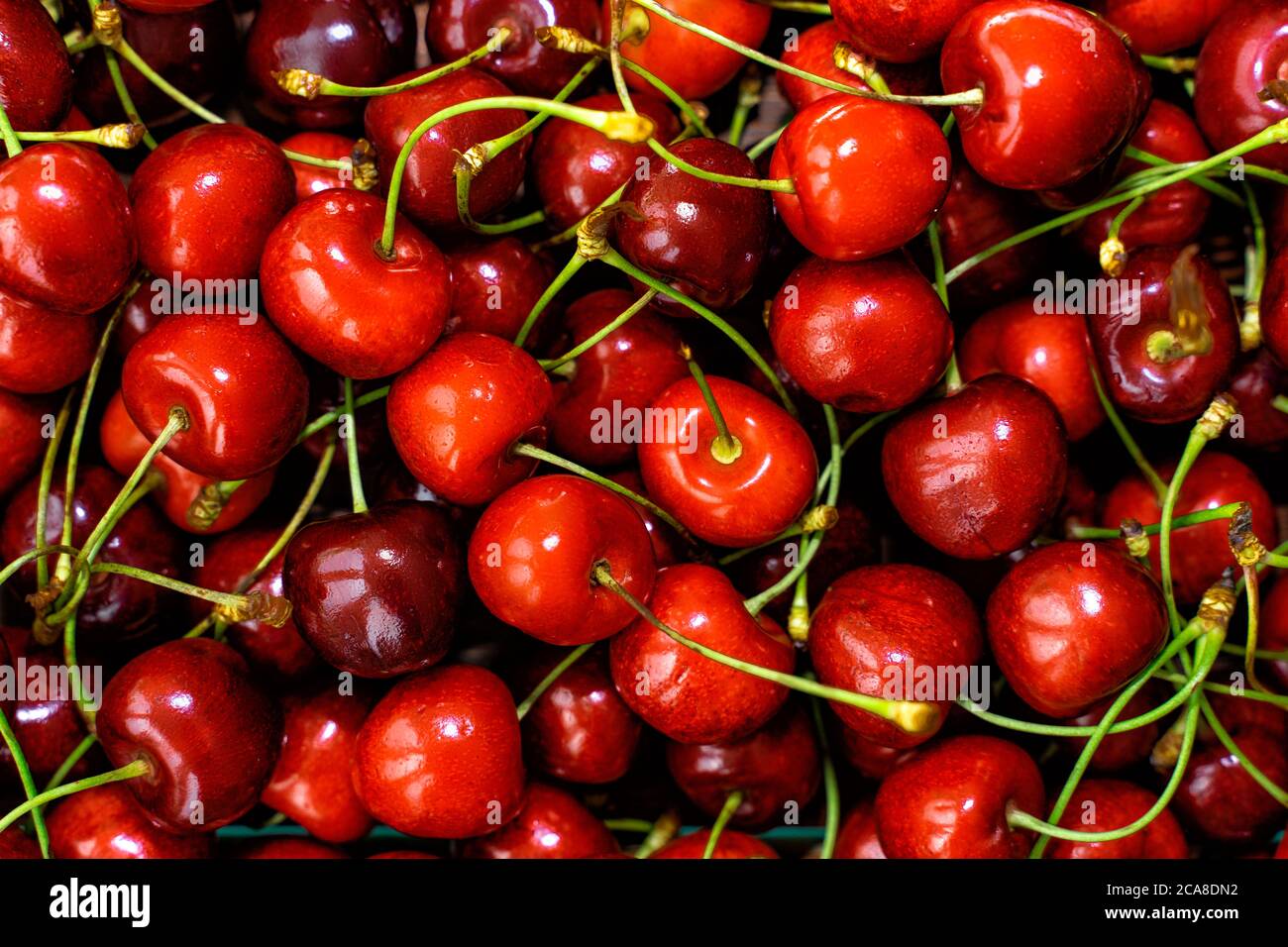 Ciliegie rosse a schermo intero. La consistenza delle ciliegie. Foto Stock